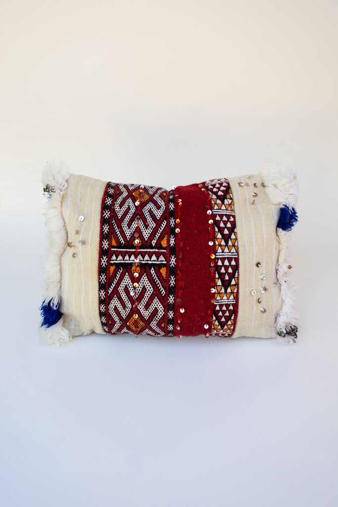Edulis - Upcycled Moroccan Pillow Sham